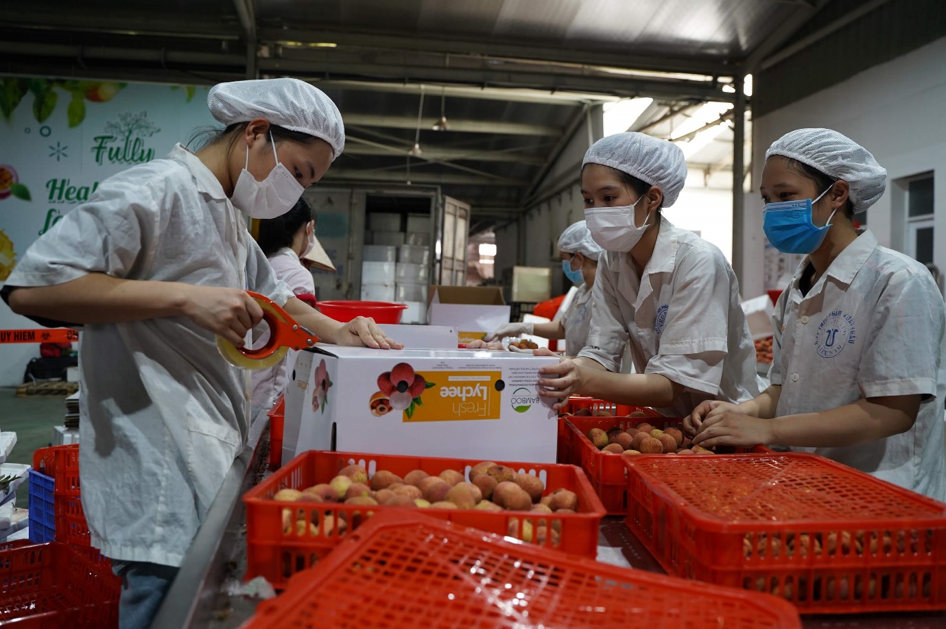 OCOP Bắc Giang: Mỳ chũ có gì đặc biệt mà lại xuất hiện nhiều tại nhà hàng cao cấp - Ảnh 3.