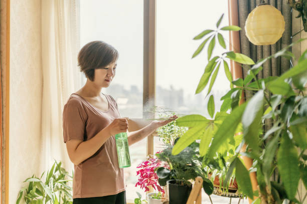 Cây cảnh trong nhà muốn xanh tốt bời bời cần chú ý điều này, bón phân không quá quan trọng đâu - Ảnh 7.