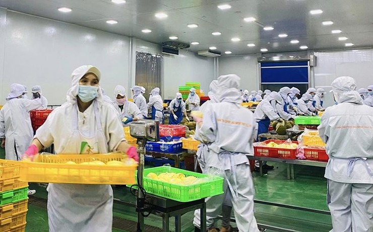 Tọa đàm: Mở cửa thị trường nông sản – cơ hội từ những thị trường khó tính - Ảnh 1.