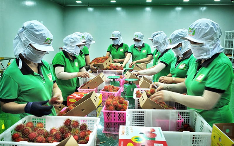 Tọa đàm: Mở cửa thị trường nông sản – cơ hội từ những thị trường khó tính - Ảnh 1.