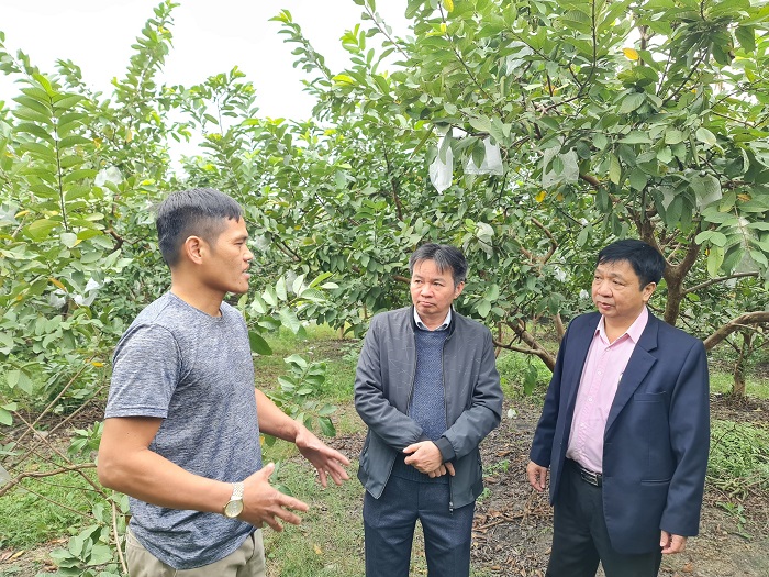 Nông thôn mới huyện Hoài Đức: 4 xã cùng đạt trên 98 điểm, thu nhập người dân nông thôn đáng mơ ước  - Ảnh 2.