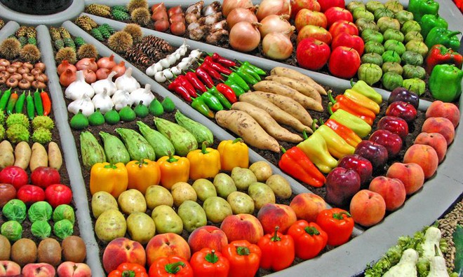Tọa đàm: Mở cửa thị trường nông sản – cơ hội từ những thị trường khó tính - Ảnh 1.