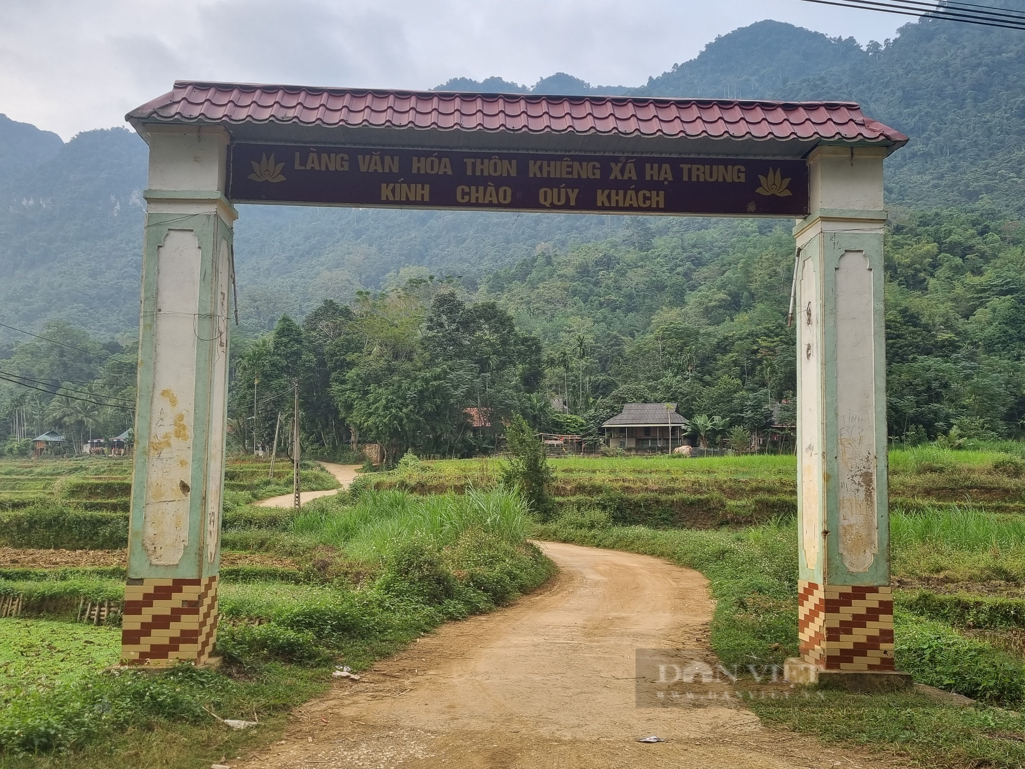 Khám phá di tích khảo cổ học Mái Đá Điều và tổ mối linh thiêng ở Thanh Hóa - Ảnh 7.