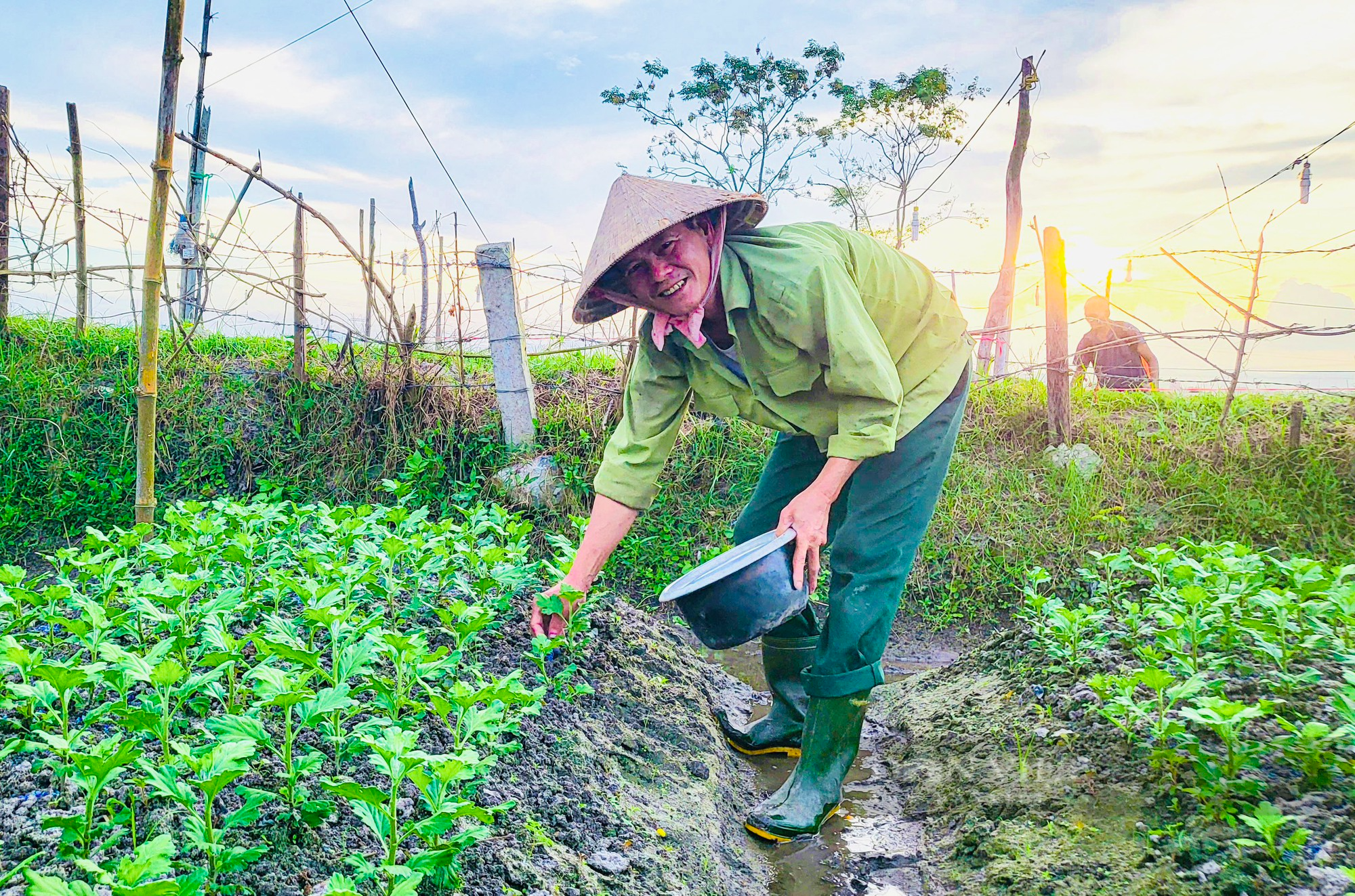 Nông dân Quảng Bình bám ruộng chăm hoa Tết - Ảnh 3.