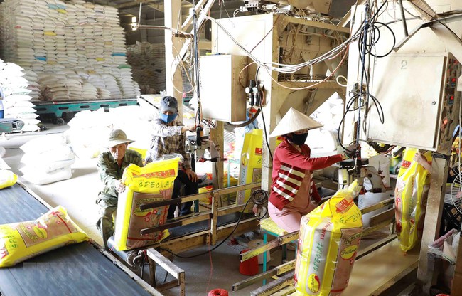 Muốn xuất khẩu nông sản vào các thị trường khó tính, doanh nghiệp phải bỏ tư duy buôn chuyến - Ảnh 3.
