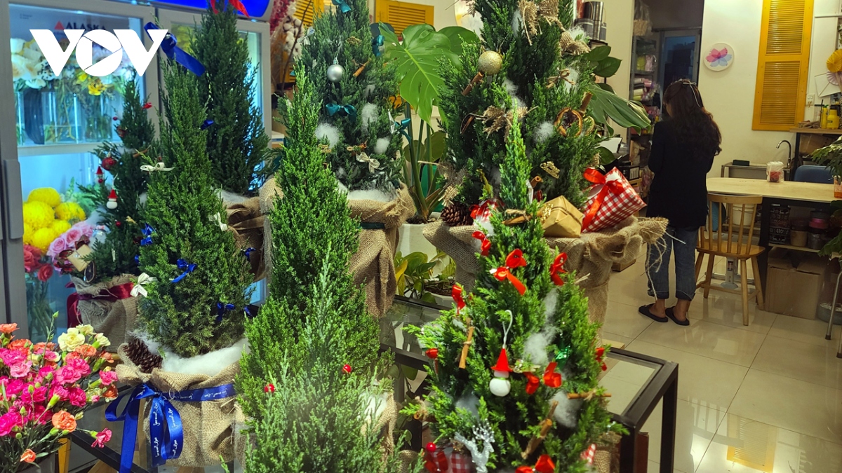 Thị trường trang trí Noel tại TP.HCM: Sức mua giảm, hàng giá rẻ lên ngôi - Ảnh 3.
