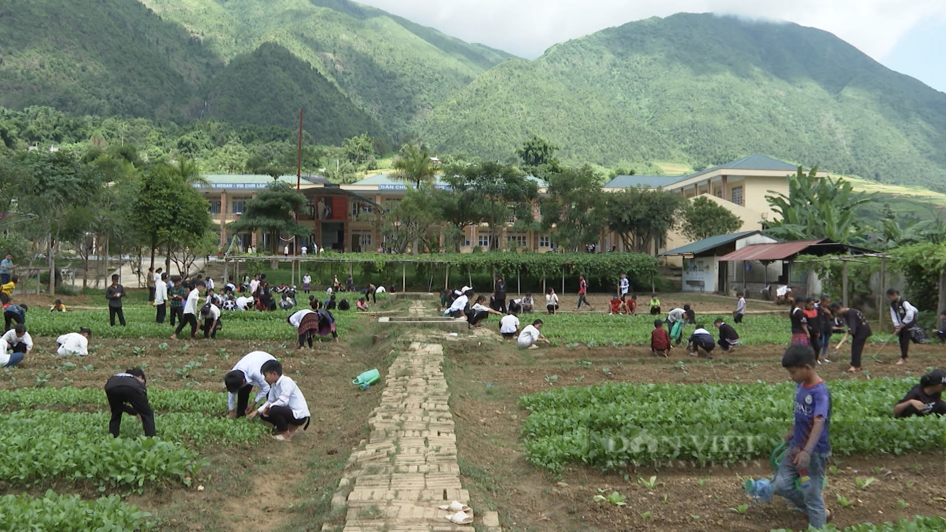 Vượt khó tìm nước trồng rau nuôi lợn làm trường học nông trại - Ảnh 3.