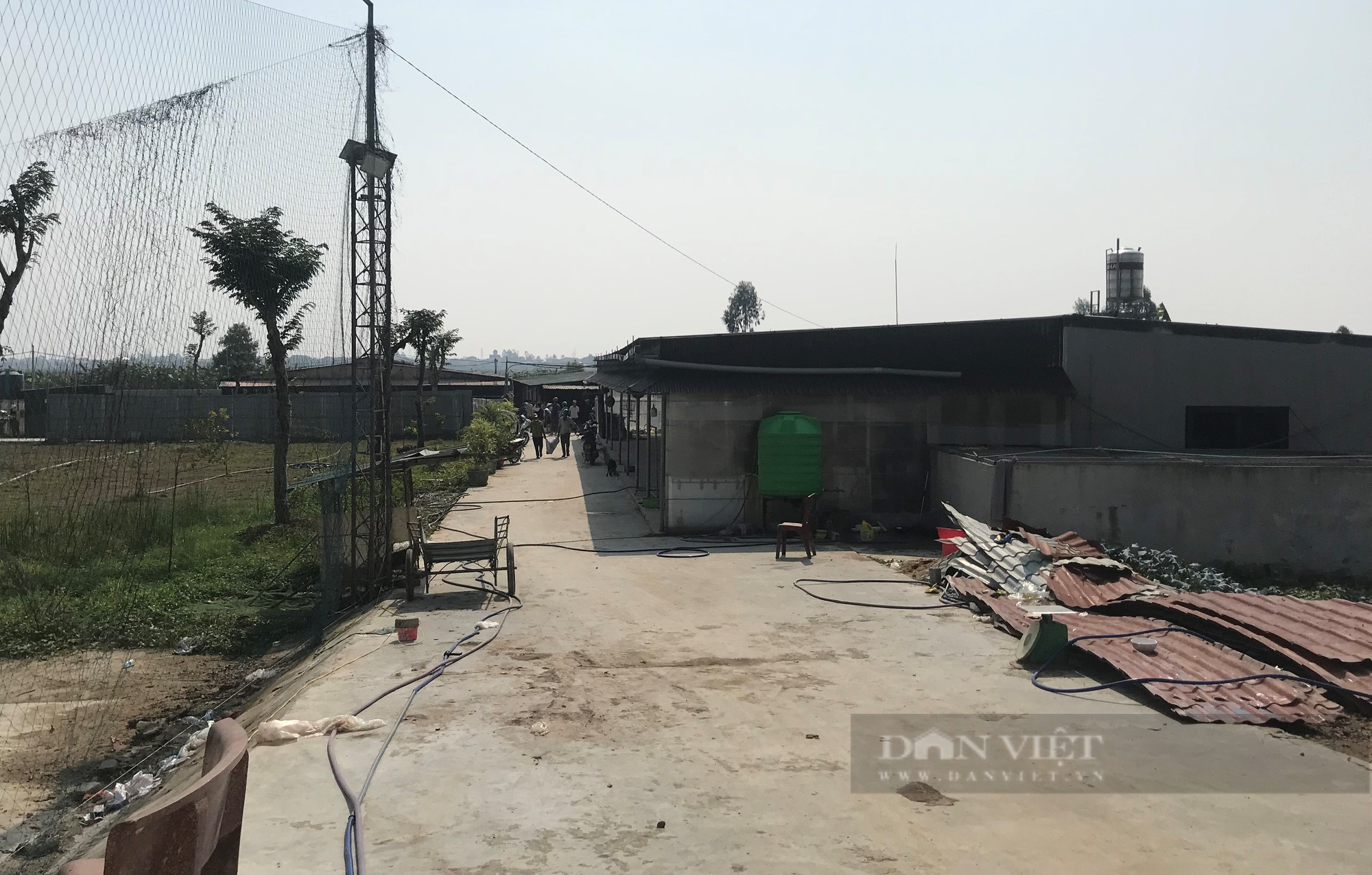 Cảnh tan hoang tại trang trại nơi xảy ra vụ cháy kinh hoàng thiêu chết hơn 1.000 con lợn - Ảnh 5.