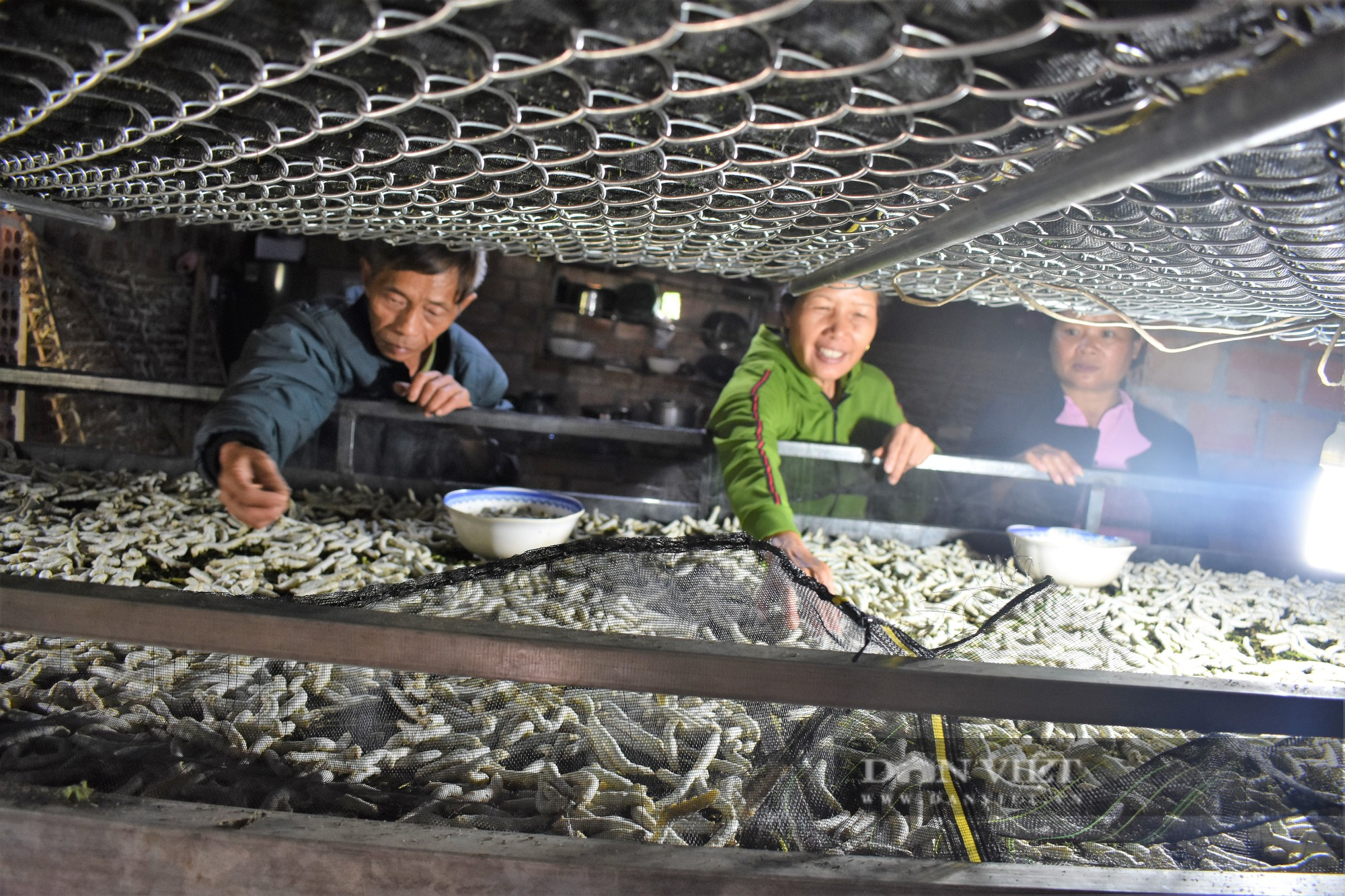 Nông dân Gia Lai có nhiều nhiều mô hình hay, sáng tạo - Ảnh 3.