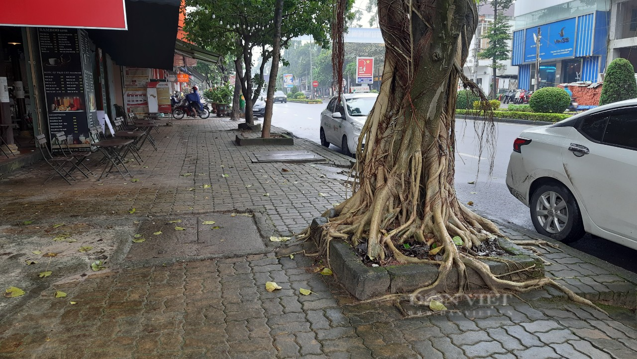 Sau tranh luận tại kỳ họp HĐND tỉnh: Dự án lát vỉa hè Hùng Vương có diễn biến mới - Ảnh 3.