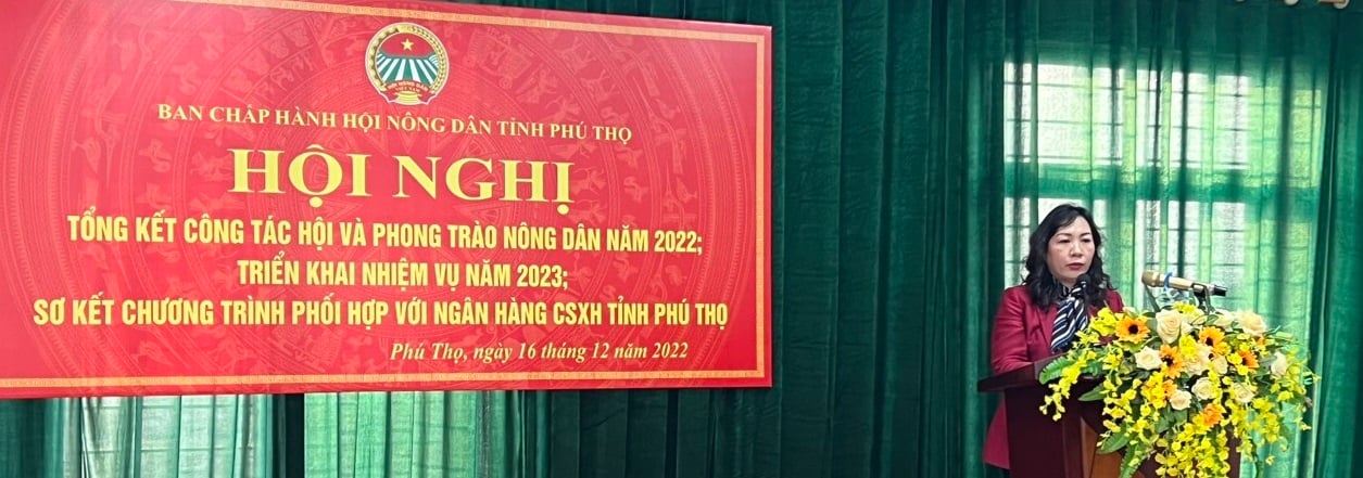 Hội Nông dân Phú Thọ tổng kết phong trào Nông dân năm 2022 và Phát động đợt thi đua năm 2023 - Ảnh 1.
