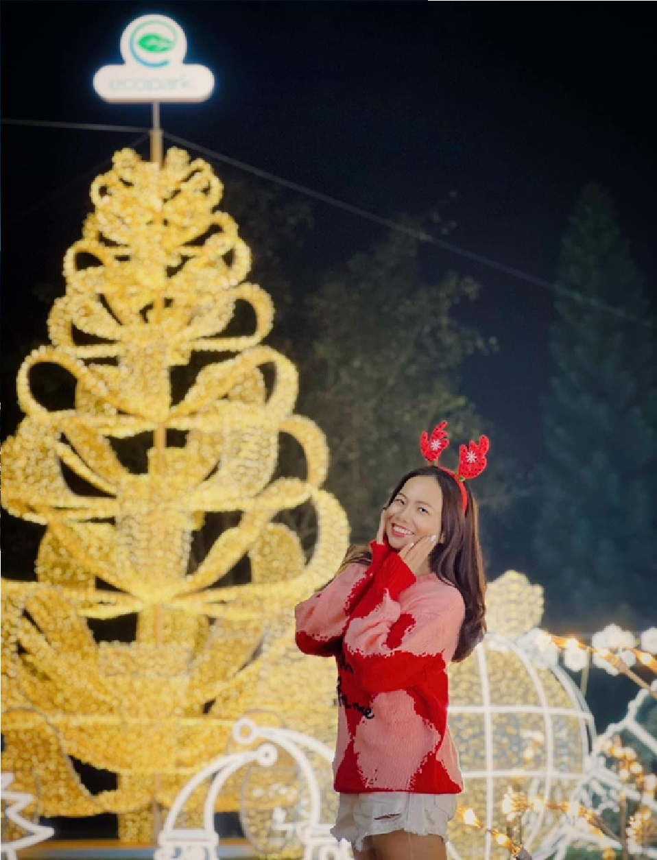Check-in làng cổ tích ánh sáng thần kỳ tại khu đô thị Ecopark - Ảnh 6.