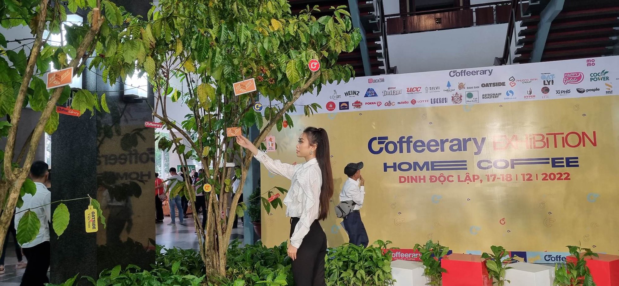 Bất ngờ với &quot;rừng cà phê thu nhỏ&quot; 2.000 cây ở Dinh Độc Lập  - Ảnh 1.