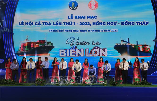 Đồng Tháp: Khai mạc Lễ hội cá tra lần thứ I - Ảnh 3.