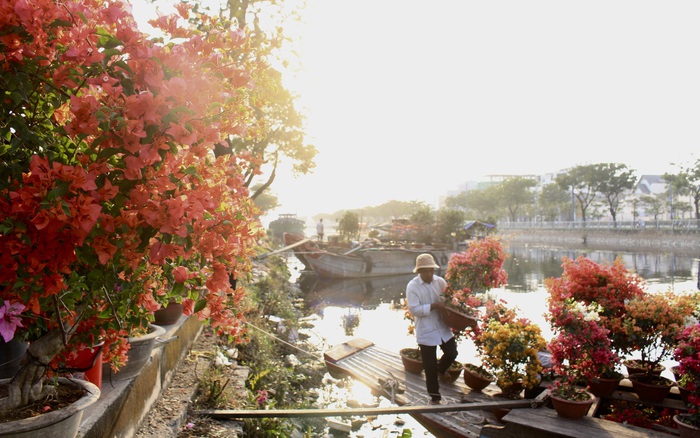 Chợ hoa xuân bến Bình Đông sẽ có hoa trái khắp nơi đổ về, có múa lân, nấu bánh Tét, phố Ông Đồ - Ảnh 1.