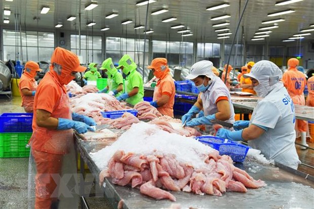 Triển vọng tiêu thụ cá tra Việt Nam tại Mỹ năm 2023 - Ảnh 1. Triển vọng tiêu thụ cá tra Việt Nam tại Mỹ năm 2023 - Ảnh 1.