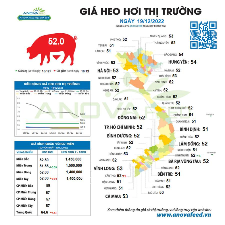 Giá lợn Việt sắp về mốc 50.000 đồng/kg, giá lợn Trung Quốc cũng rớt thê thảm 2 tuần qua - Ảnh 2. Giá lợn Việt sắp về mốc 50.000 đồng/kg, giá lợn Trung Quốc cũng rớt thê thảm 2 tuần qua - Ảnh 2.