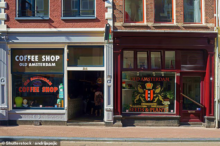 Hà Lan gửi thông điệp “tránh xa” với những du khách tới Amsterdam để “đi hoang” - Ảnh 5.