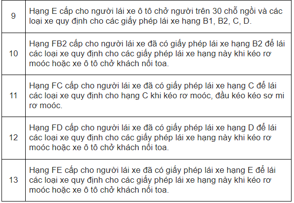 Bằng lái xe nào có giá trị cao nhất tại Việt Nam? - Ảnh 4.