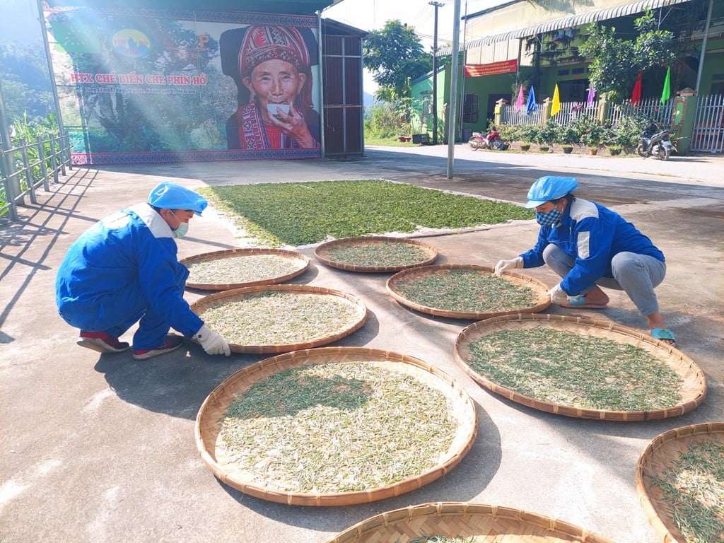 Nông thôn mới Hà Giang, số nông dân giỏi tăng, có tỷ phú trồng cam, nuôi lợn rừng thu 3 tỷ/năm - Ảnh 3.