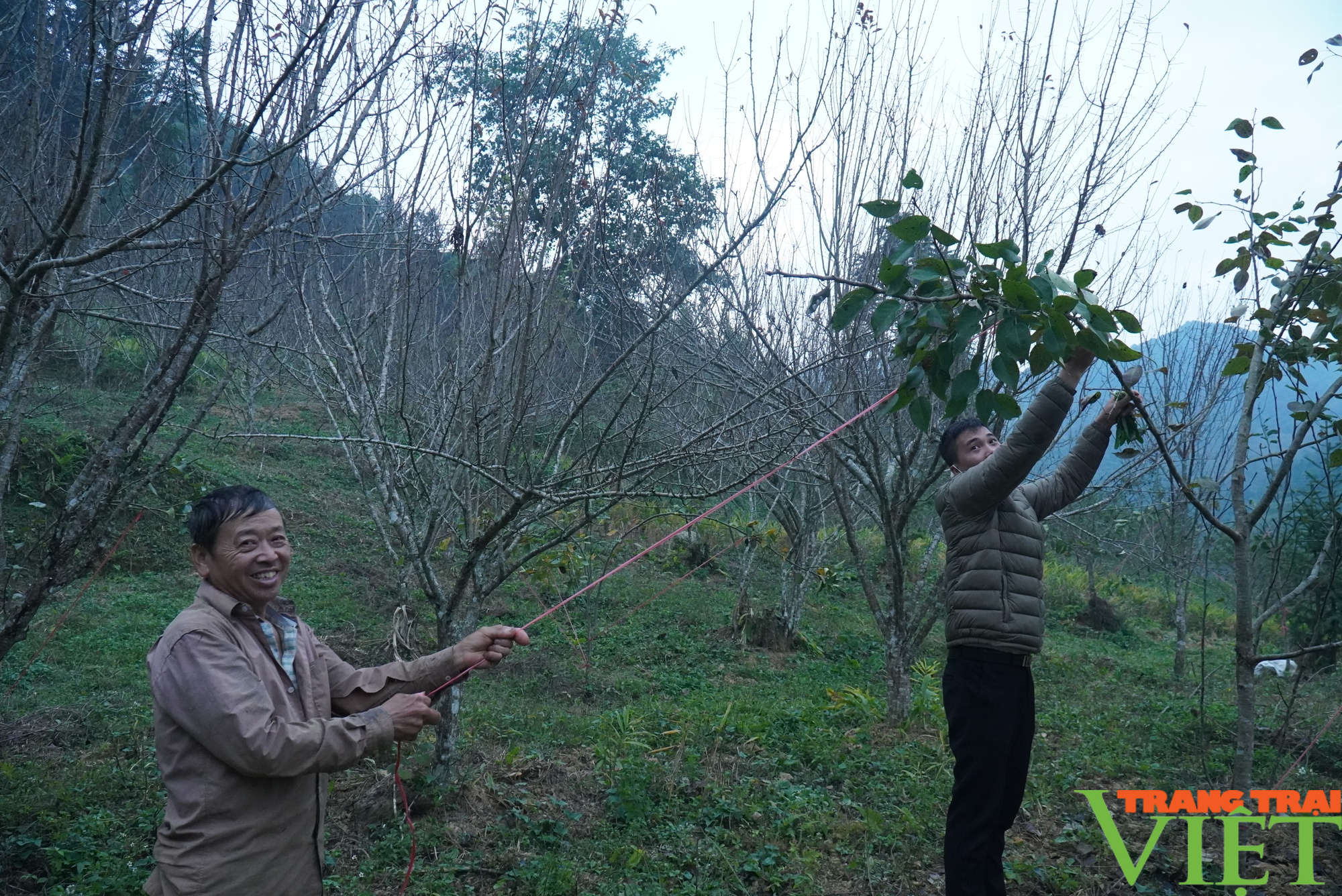 Triệu phú trên vùng đất khó - Ảnh 6. Triệu phú trên vùng đất khó - Ảnh 6.