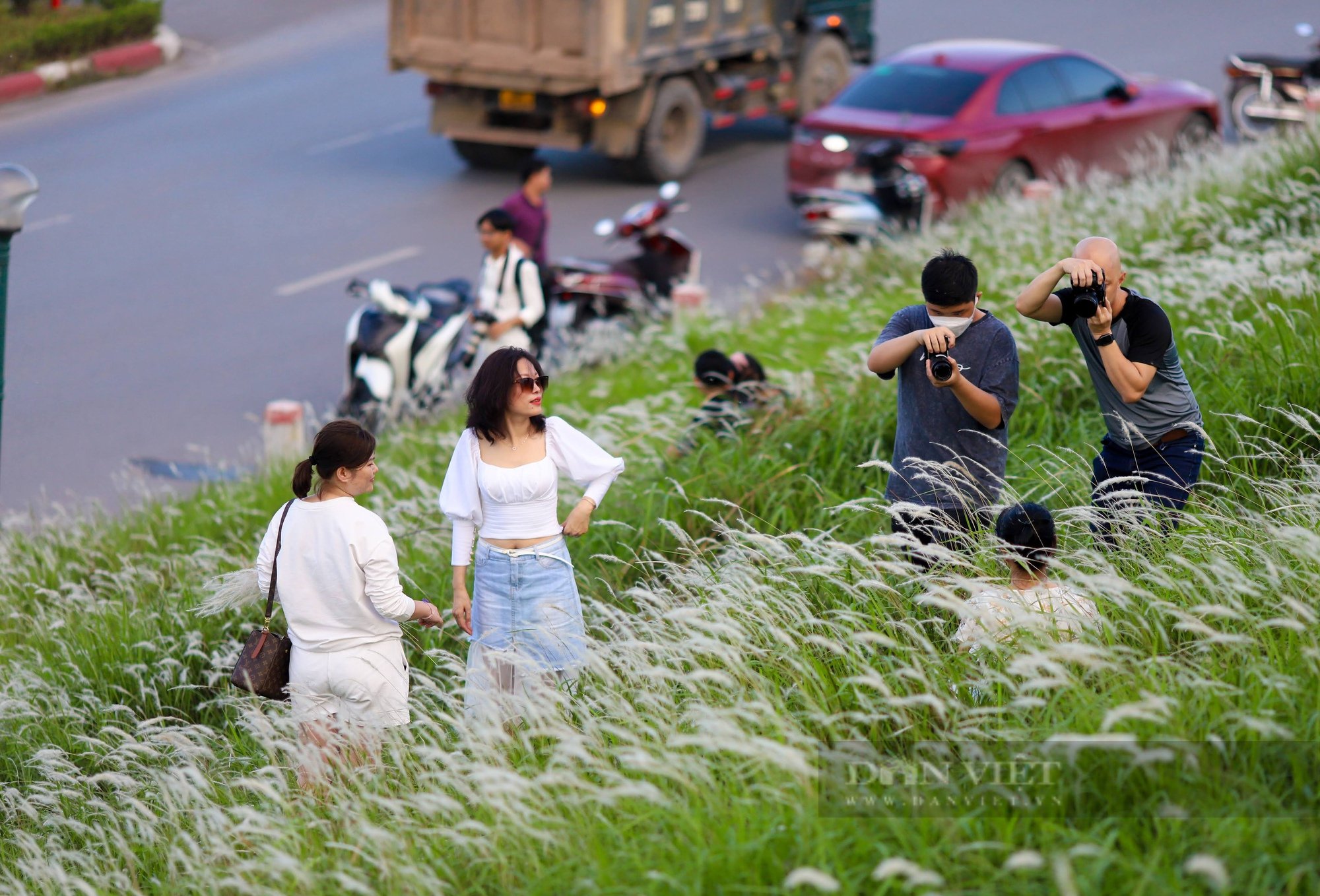 Hà Nội: Chen chân chụp ảnh với cỏ tranh trên triền đê - Ảnh 5.