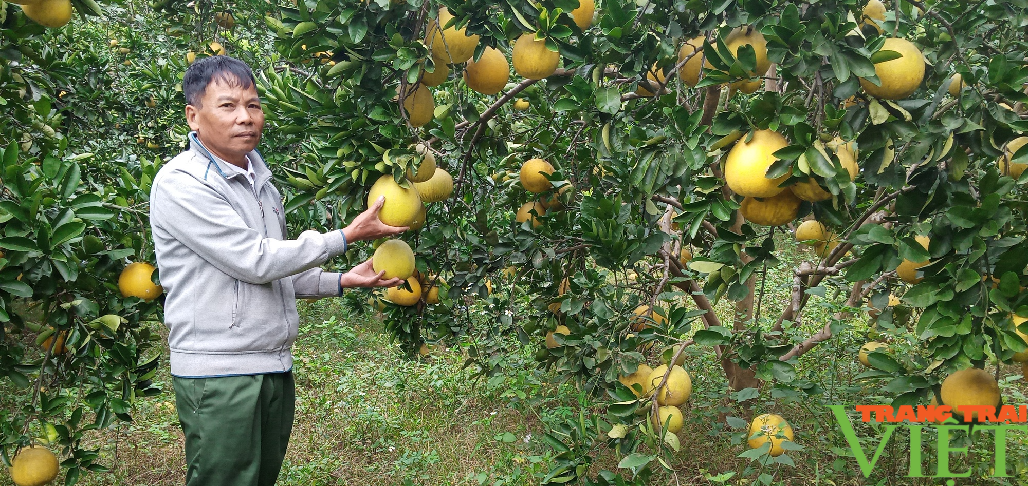 Làm kinh tế tổng hợp giúp lão nông thu lãi 300 triệu đồng mỗi năm - Ảnh 1. Làm kinh tế tổng hợp giúp lão nông thu lãi 300 triệu đồng mỗi năm - Ảnh 1.