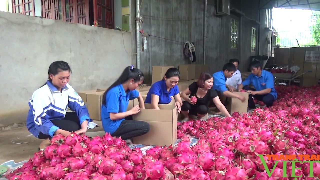 Ứng dụng khoa học công nghệ trong phát triển cây ăn quả - Ảnh 7. Ứng dụng khoa học công nghệ trong phát triển cây ăn quả - Ảnh 7.