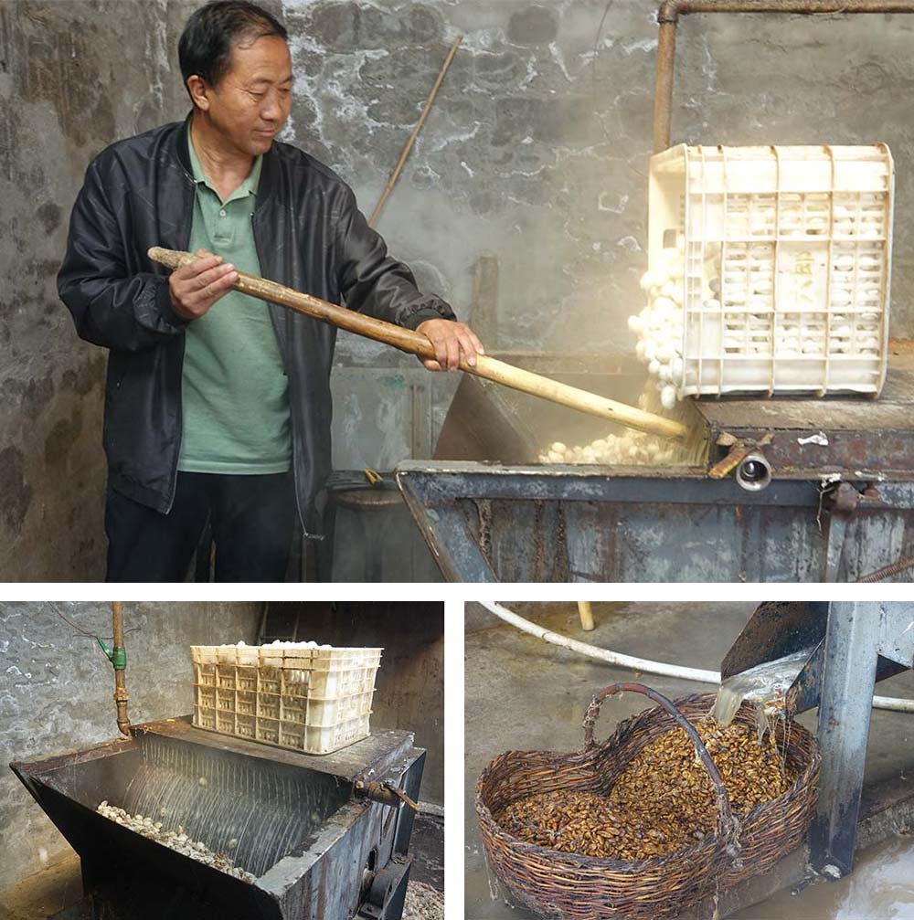 Một thị trấn ở Trung Quốc dùng loại 'sâu đặc biệt' để hái ra tiền - Ảnh 2. Một thị trấn ở Trung Quốc dùng loại 'sâu đặc biệt' để hái ra tiền - Ảnh 2.