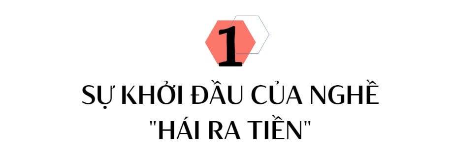 Một thị trấn ở Trung Quốc dùng loại 'sâu đặc biệt' để hái ra tiền - Ảnh 1. Một thị trấn ở Trung Quốc dùng loại 'sâu đặc biệt' để hái ra tiền - Ảnh 1.