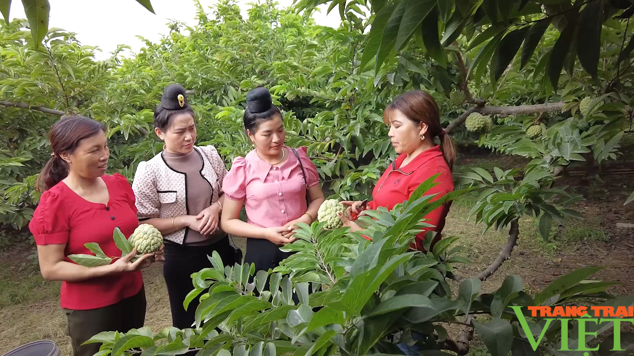 Ứng dụng khoa học công nghệ trong phát triển cây ăn quả - Ảnh 3. Ứng dụng khoa học công nghệ trong phát triển cây ăn quả - Ảnh 3.