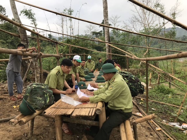 Khi CO2 trở thành hàng hóa - Ảnh 3.