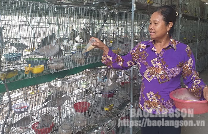 Nuôi chim hót hay, lông đẹp, xuất xứ từ Pháp, một nông dân Lạng Sơn phát tài - Ảnh 2.