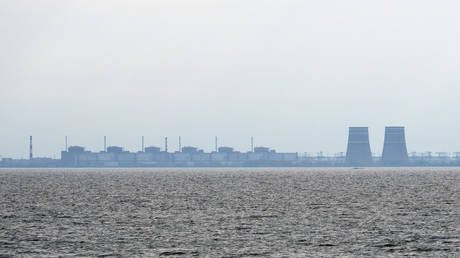 Moscow tuyên bố nhà máy hạt nhân lớn nhất châu Âu an toàn là nhờ quân đội Nga - Ảnh 1.