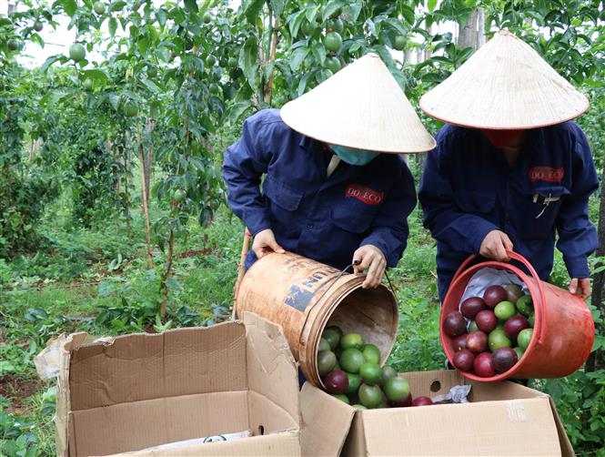 Bộ trưởng Lê Minh Hoan: Tự hào không phải chỉ ở con số - Ảnh 4.