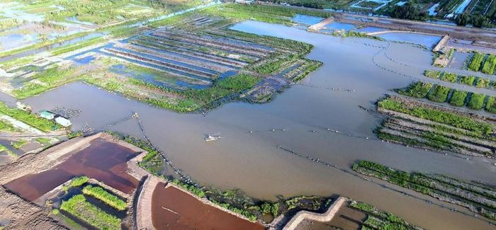 Hồ nước ngọt lớn nhất Cà Mau vừa được Thủ tướng Chính phủ đồng ý kéo dài thời gian hoàn thành bao nhiêu tháng? - Ảnh 1.