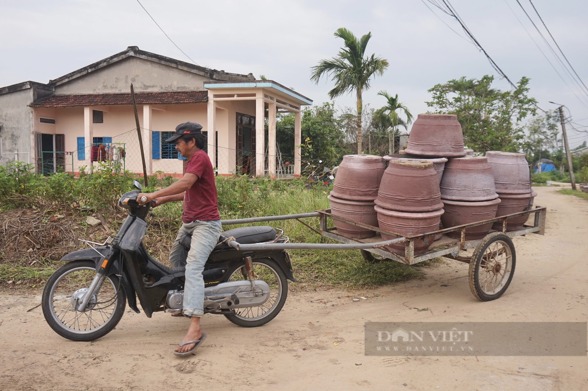 Quất chưa chín hết nhưng đã “cháy hàng”, nông dân làng này vui hơn Tết - Ảnh 6.