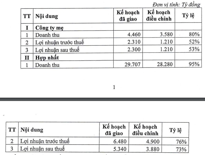 Tập đoàn Cao su Việt Nam (GVR) bất ngờ điều chỉnh sâu kế hoạch kinh doanh - Ảnh 1.