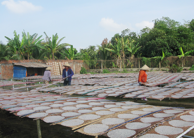 Bánh tráng Mỹ Lồng, bánh phồng Sơn Đốc rộn ràng mùa Tết - Ảnh 1.