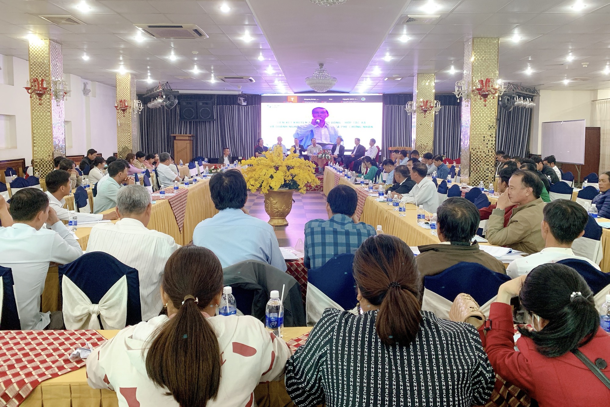 Liên kết khuyến nông cộng đồng, hợp tác xã và doanh nghiệp trong sản xuất cà phê - Ảnh 1.