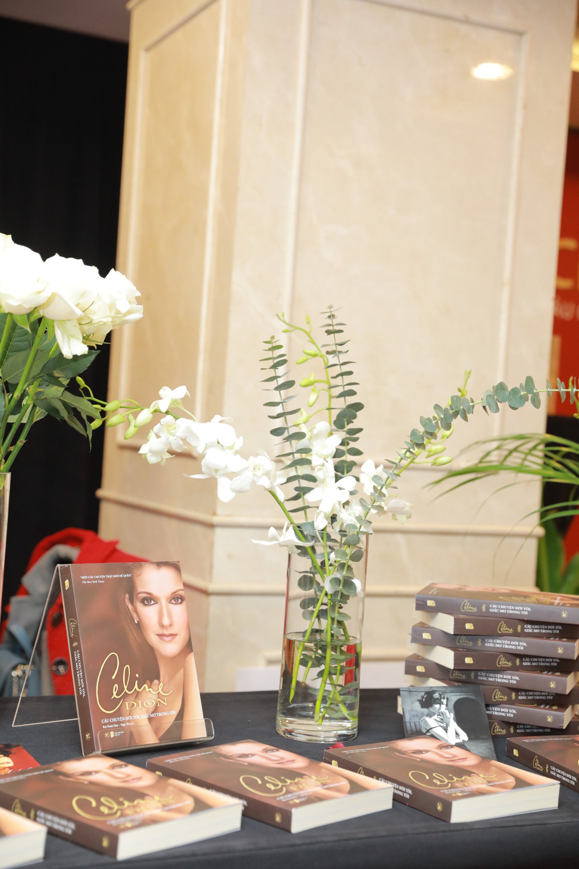 Chuyện đời như giấc mơ của giọng ca đình đám Celine Dion  - Ảnh 3.