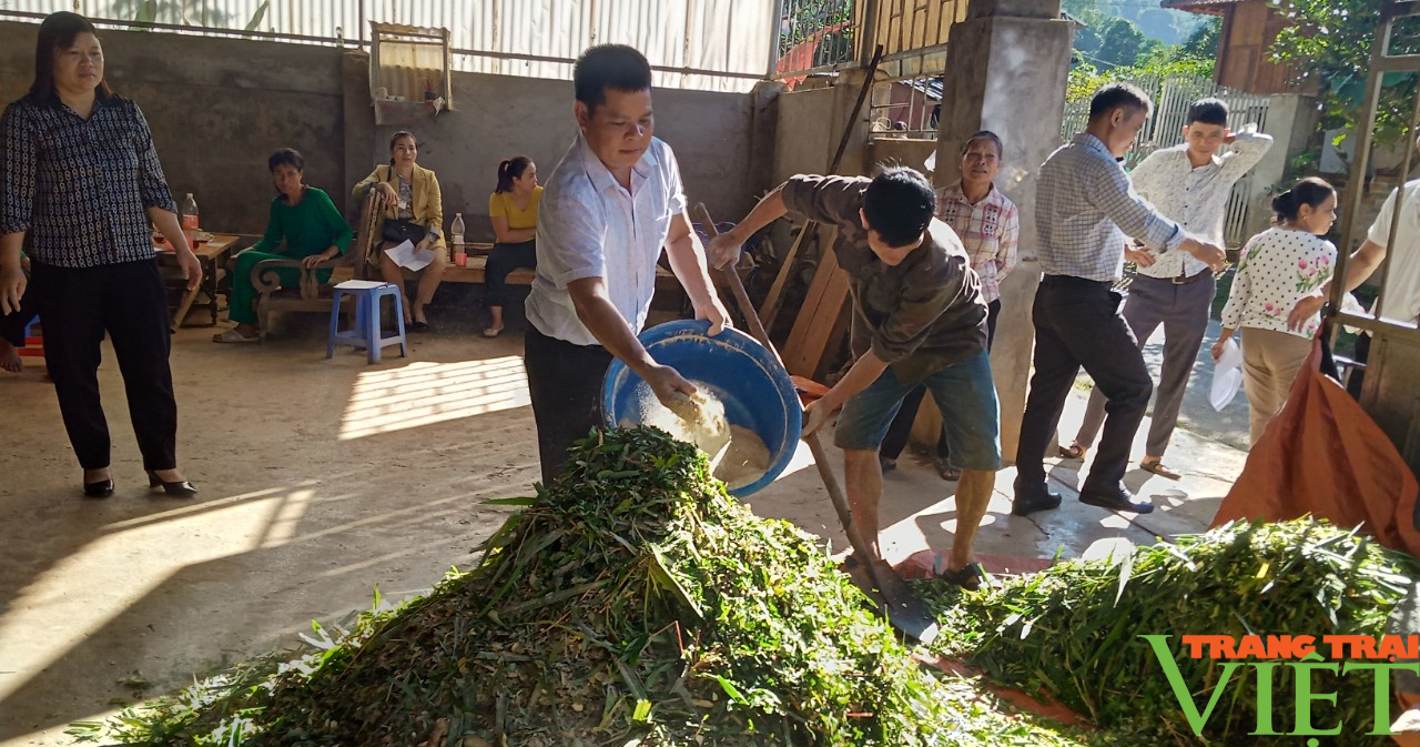 Phù Yên (Sơn La): Chủ động phòng chống đói, rét cho đàn gia súc - Ảnh 4.