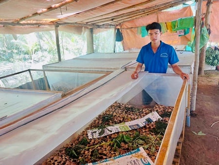 Nuôi con gì &quot;mau lớn nhanh chết&quot;, chàng nông dân trẻ Tiền Giang nhẹ nhàng &quot;đút túi&quot; hàng triệu đồng/tháng? - Ảnh 1.