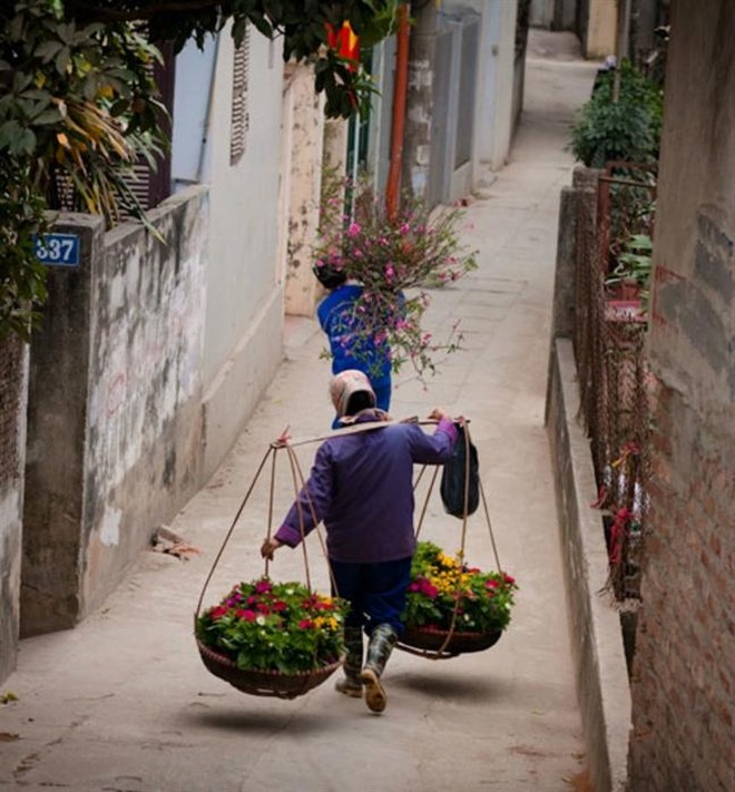 Người Hà Nội chơi hoa - Ảnh 8.