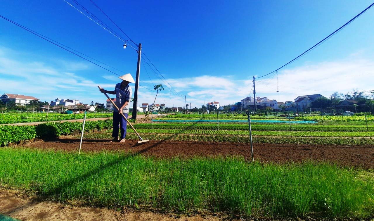 Top trải nghiệm tại làng du lịch tốt nhất thế giới và những địa điểm thú vị tại Việt Nam - Ảnh 8.
