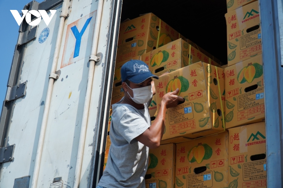 Nông sản Việt chinh phục những thị trường khó tính - Ảnh 2. Nông sản Việt chinh phục những thị trường khó tính - Ảnh 2.