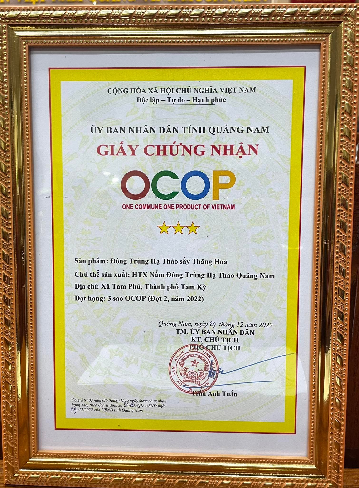 Quảng Nam: Hàng chục sản phẩm nhà nông được gắn đến 3, 4 sao OCOP - Ảnh 2.