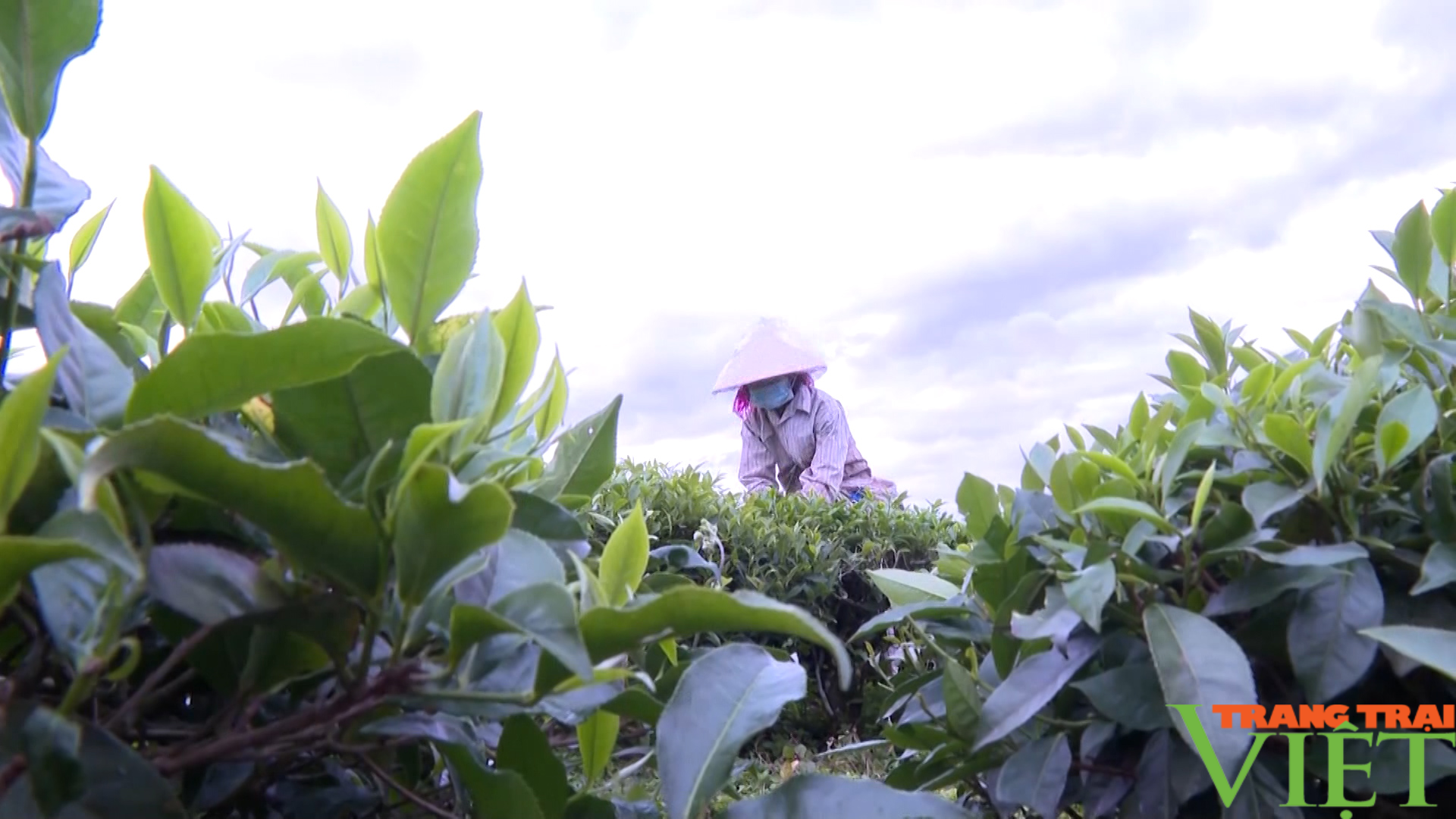 Mường Khoa giữ vững các tiêu chí nông thôn mới - Ảnh 4. Mường Khoa giữ vững các tiêu chí nông thôn mới - Ảnh 4.