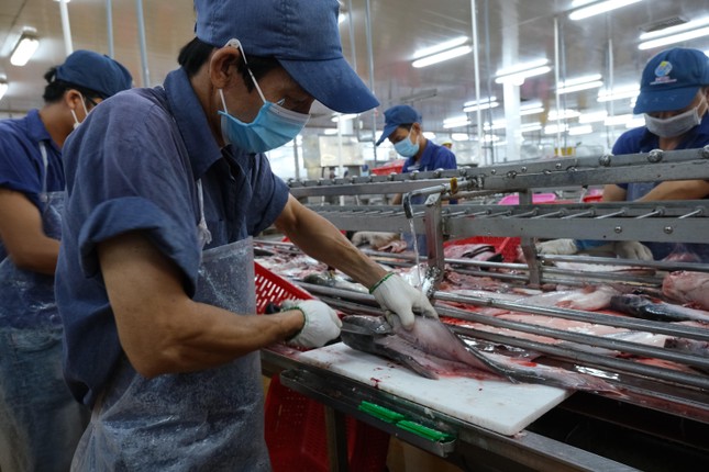 Xuất khẩu nông sản thắng lớn, năm 2023: Hướng đến mục tiêu 54 tỷ USD - Ảnh 1. Xuất khẩu nông sản thắng lớn, năm 2023: Hướng đến mục tiêu 54 tỷ USD - Ảnh 1.