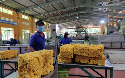 Sốt ruột chờ hoàn thuế - Ảnh 1. Sốt ruột chờ hoàn thuế - Ảnh 1.
